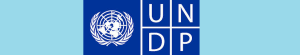 UNDP logo_0.jpg